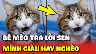 Đáp án câu hỏi "NHÀ MÌNH GIÀU HAY NGHÈO" của Hoàng Thượng khiến Sen bất lực 😂 | Yêu Lu