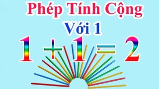 Bé học toán | Phép tính cộng với 1 | PingTV