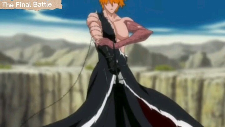 The Final Battle - Bleach