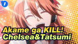 Akame ga KILL!|【Chelsea&Tatsumi】The love that can't be told until death ------_1