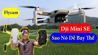 Flycam Dji mini SE sao nó dễ dùng thế