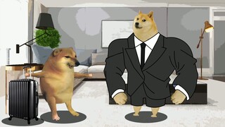 شاهدت عدة شقق، لكن الشقة السابقة كانت أفضل.