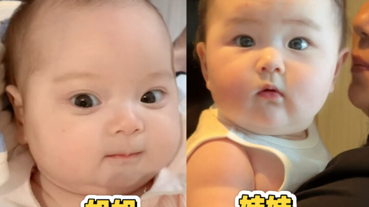 Vì nhan sắc của chị mà sinh thêm em gái.