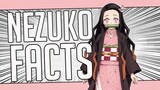 5 Facts About Nezuko Kamado - Demon Slayer/Kimetsu no Yaiba