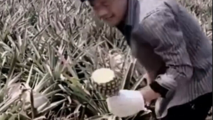 Lamian Lanzhou membutuhkanmu