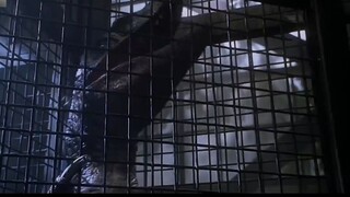 REVIEW PHIM CÔNG VIÊN KỶ JURA __ JURASSIC PARK 3 __