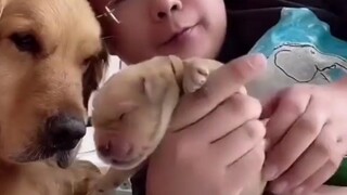 别人都是说着玩，你来真的啊！