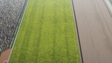 Uma Musume: Cinderella Grey - Part II - episode 5