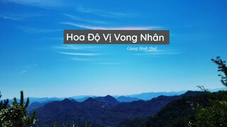 花渡未亡人/Hoa Độ Vị Vong Nhân (Lyric+Pinyin)_Giang Bình Quả