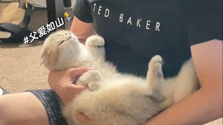 Kucing kecil: Aku punya ayah yang baik, ayah yang baik!!