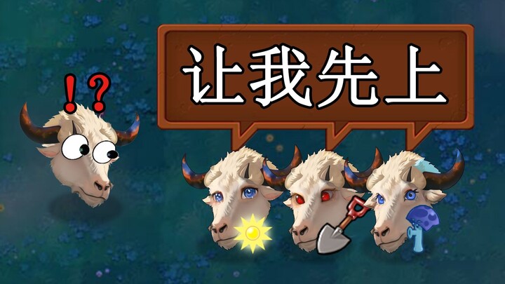 Brothers Niu and Yang team up to take turns guiding players!