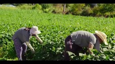 Nhật ký tự do của tôi EP 7 [Sub Việt]