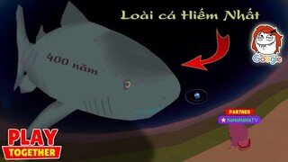 (Play Together) Na Na "Gồng mình" 24H săn loài cá Hiếm Nhất 400 Năm