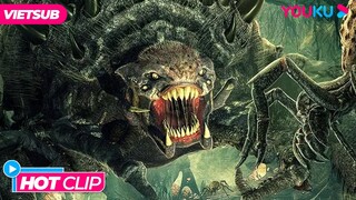 Lạc vào đảo nhện khổng lồ nguy hiểm tính mạng | Nhện Điên - Crazy Spider | Phim Lẻ YOUKU