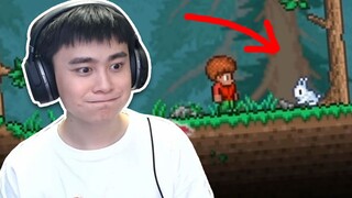 兔子：求求你摇了我吧丨泰拉瑞亚#01