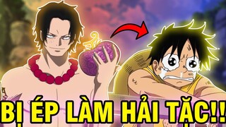 NHỮNG NGƯỜI BỊ ÉP LÀM HẢI TẶC | BỊ LUFFY ÉP LÊN THUYỀN?!