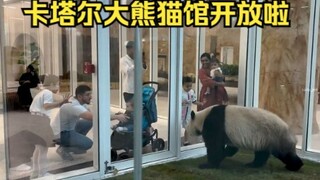 快来打卡12万平米的卡塔尔大熊猫馆吧