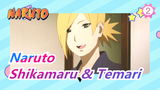 [Naruto] Shikamaru & Temari's Love Line Compilation (after several hundred episodes)_2