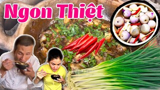 Thu hoạch cà và bí quyết kho cá không tanh cho người không biết nấu ăn | ATCL T 61