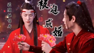 忘羡 误闯仙督房，被迫成婚④
