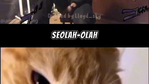 dubing dub indo meme wibu