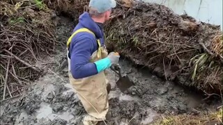 Untuk mencegah banjir, seorang pria memutuskan untuk membongkar bendungan berang-berang...