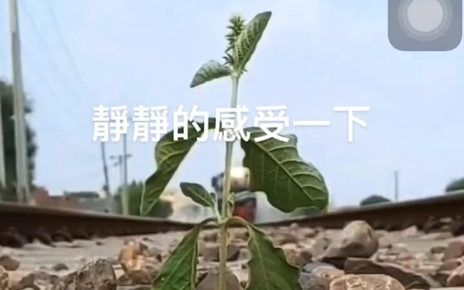 No matter how much pressure we face, it will always pass—let’s lift our heads and set off again!