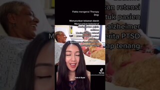 Semoga stigma buruk terhadap anabul bisa berkurang 😢 #shorts