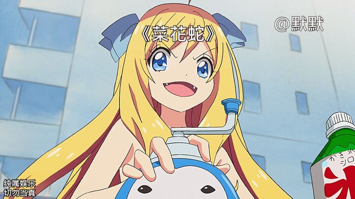 When it’s serious, the flower snake isn’t so bad after all.