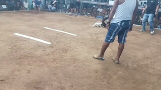 1st fight wen..