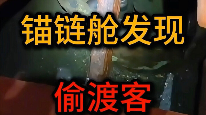 Ocean freighters are so tall—where do stowaways climb up when the ship drops anchor?