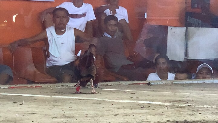 Ganda ng laban laakas ng palo., wins