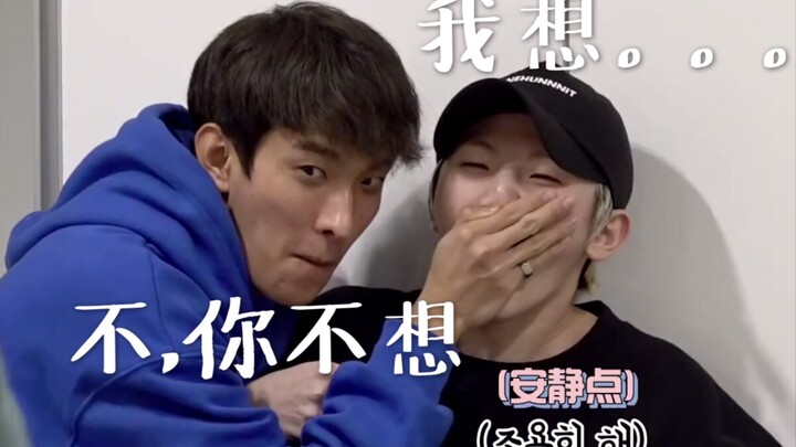 [SEVENTEEN] Silly Dance Compilation — Sub-Sub Fans Are Only Slightly Less Fun Than Sub-Fans