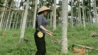 来呀，快活啊，反正有大把时光