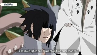 Papasuke hơi bị chiến đấy