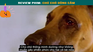 Chú chó dũng cảm -part4 #reviewphimhay