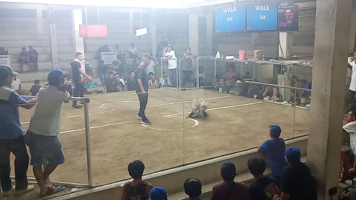 01/18/25 2nd fight L TCA- Ternate