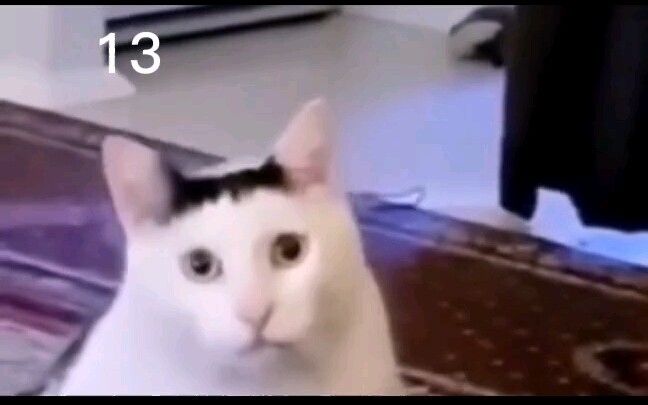 “เสียงไหนล่ะที่แท้จริงที่สุด?”