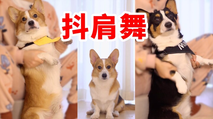 โคกี้ “เต้นส่ายไหล่” เวอร์ชันน่ารักที่สุดบน Bilibili! 【ดูบีขาสั้น】