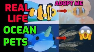 ADOPT ME OCEAN PETS IN REAL LIFE - ADOPT ME OCEAN EGG UPDATE (NARWHAL, CLOWNFISH, CRAB, SHARK, NEON)