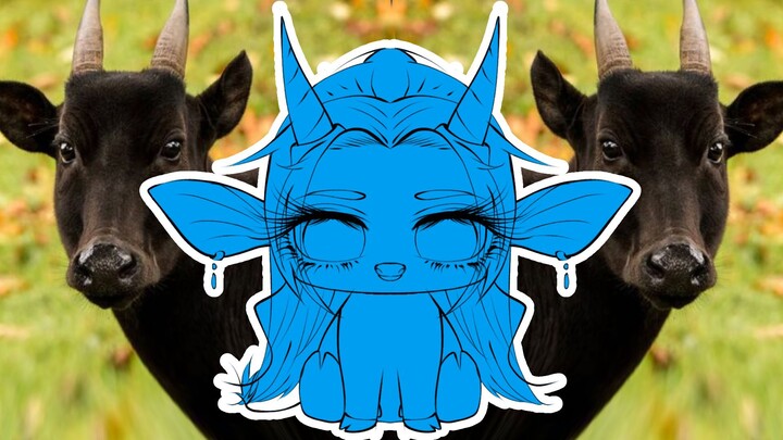 REQUEST⁉️ gambar anoa (part 1 gambar)