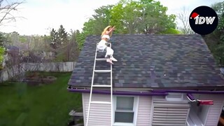 TOTAL IDIOTS AT WORK #131 | Bad day at work | New fails compilation 2024