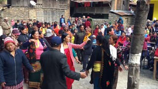 dance in panchebaja and MAYALI song | पञ्चेबाजामा मयाली गीत र धमाकेदार नाच । nepali culture