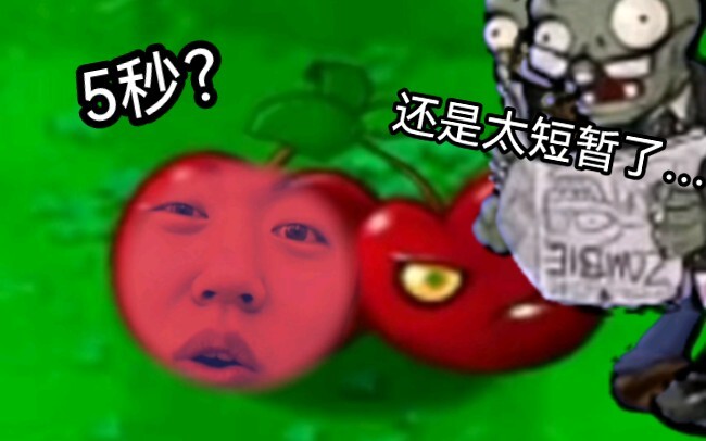 《 樱  桃  炸  弹  日  记 》