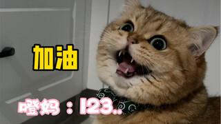 虽然你只睡了一个晚上 但对于猫猫来说已经等了你七个晚上了