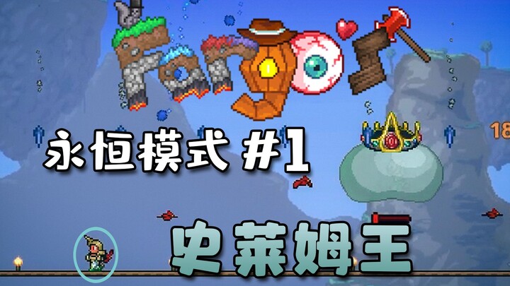 【Fargo】#1 A Pro at Bird-Taming 【Terraria】 Spell-Weaving Gameplay Commentary