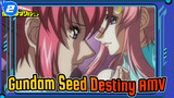 Gundam Seed Destiny - Touching AMV | Kimi wa Boku ni Niteiru_2