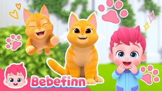 The Cat Song 😻 I'm A Ginger Cat Boo! Meow | Bebefinn Sing Along2 | Nursery Rhymes For Kids