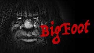 Chính Phủ Các Nước Đang Che Giấu Sự Tồn Tại Của Bigfoot?