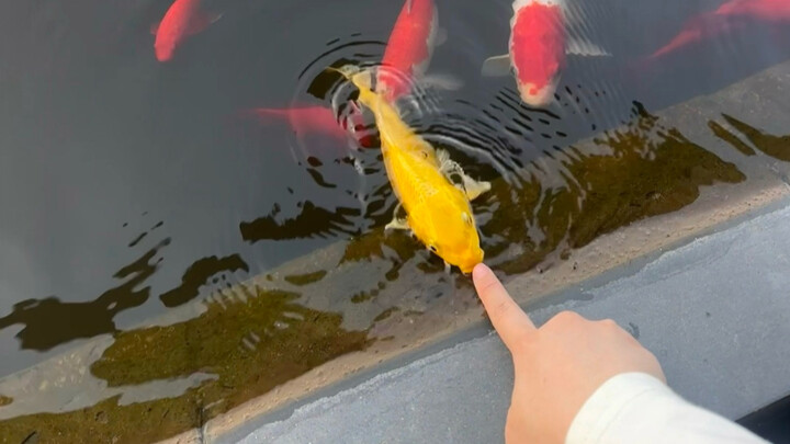 ดื่มคำแรกก็เจอไข่มุกเลยนะ